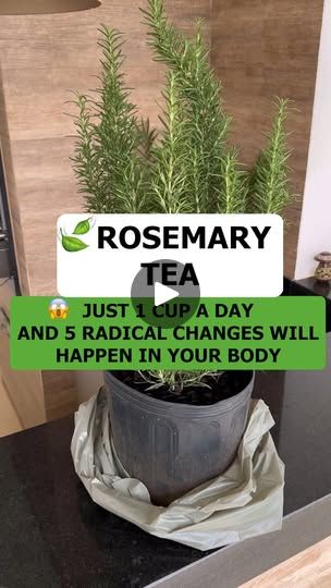 702K views · 25K reactions | #rosemary #tea #viral | #rosemary #tea #viral | By Tavares good Tips | Facebook Rosemary Tea Benefits, Rosemary Tea Recipe, Spice Combinations, Rosemary Tea, Healthy Juice Drinks, Kidney Detox, Food Health Benefits, Magnesium Benefits, Health Recipes