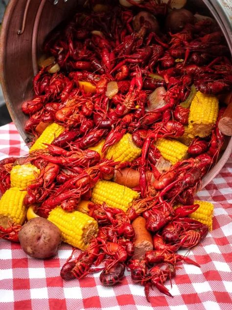 Louisiana Crawfish Boil Recipe - Coop Can Cook Louisiana Food Cajun Cooking, Crawfish Boil Aesthetic, Crawfish Aesthetic, Louisiana Seafood Boil, Louisiana Crawfish Boil Recipe, Etoufee Recipe, Boiled Seafood, Crawfish Etoufee, Crawfish Boil Recipe