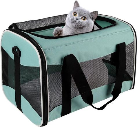 Cat Carrying Case Pet Dog Carrier Soft-Sided Cat Bag Airline Approved, Pet Travel Carrier Up to 15 Lbs, Collapsible Cat Carrier Dog Carrier for Medium Cats Small Cats Dogs(17x11x11 green) Dog Travel Carrier, Pet Travel Carrier, Dog Travel Bag, Pet Carrier Bag, Pet Supplies & Accessories, Travel Carrier, Cat Travel, Cat Bag, Cat Carrier