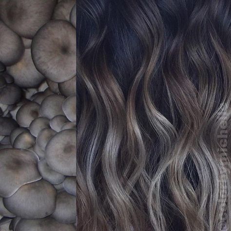 Tmavý Blond, Mushroom Blonde, Winter Hair Color Trends, New Hair Color Trends, Mushroom Hair, Low Maintenance Hair, Ombré Hair, Winter Hair Color, Winter Hair