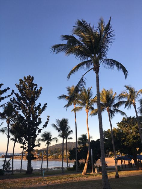 Queensland Beach, Australia Aesthetic, Beach Girl Aesthetic, Australia Beach, Airlie Beach, Aesthetic Sunset, Beach Australia, Gap Year, Dream Lifestyle