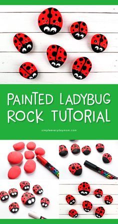 Ladybug Painted Rocks, Diy Ladybug, Lady Bug Painted Rocks, Painted Ladybug, Ladybug Rocks, Ladybug Garden, Rock Painting Tutorial, Painted Rocks Kids, Painted Rocks Craft