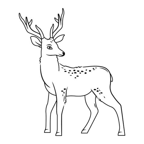 A cute deer stands on a white background... | Premium Vector #Freepik #vector #stag #deer #deer-antlers #buck Colouring Worksheet, Deer Outline, Cute Forest Animals, Deer Stands, Deer Cartoon, Cute Forest, Outline Images, Stag Deer, Buck Deer