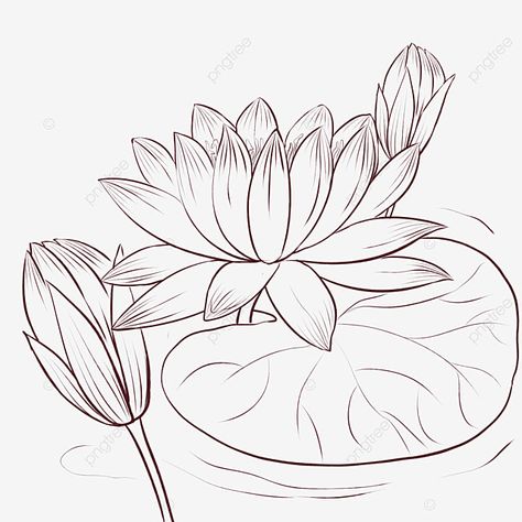 Lotus Clipart Black And White, Lotus Art Design, Lotus Drawing Simple, White Png Transparent, Lotus Paintings, Rangoli Drawing, Lotus Flower Drawing, Lotus Drawing, Angel Sketch