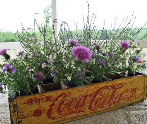 Old Coke Crates, Coke Crate Ideas, Wooden Crates Projects, Deer Blinds, Crate Shelves Diy, A Friend Is Someone Who, Crate Decor, Old Wooden Crates, Yard Makeover