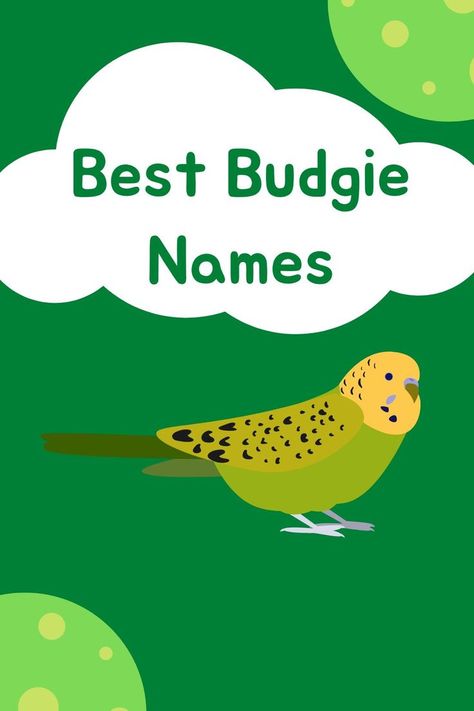 BUDGIE NAMES Budgie Names, Parakeet Names, Bird Names, Budgies Bird, Budgie Parakeet, Cute Names, Dogs And Cats, Getting Old, Beautiful Birds