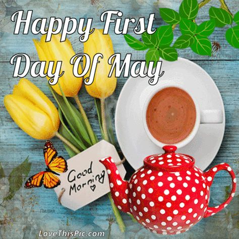 Good Morning Happy First Day Of May. Penicillin Soup, Hello May Quotes, Sweet Dreams Pictures, Welcome May, Good Morning Facebook, May Quotes, Love Good Morning Quotes, Good Morning Saturday, Mother Pictures