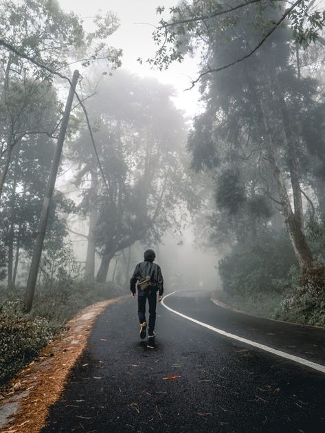 Nature, Person Walking Back View, Struggle Wallpaper, Boy Walking Video, Walking Alone On The Road, Person Back View, Walking Back View, 1989 Songs, Background For Poetry Writing