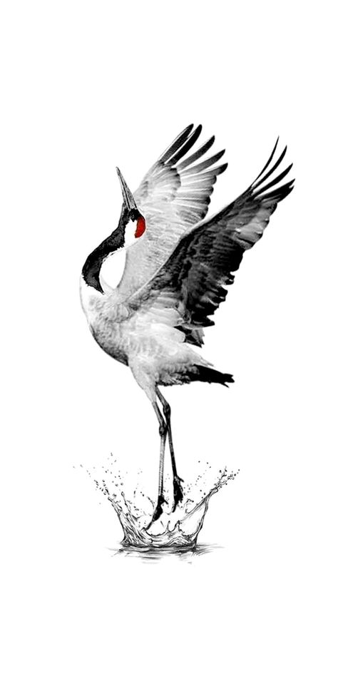 Black Crowned Crane Tattoo, Asian Bird Tattoo, Dancing Crane Tattoo, Sand Hill Crane Tattoo, Japanese Crane Tattoo Design, Crane Bird Drawing, Japanese Bird Tattoo, Crane Tattoo Design, Crane Sketch