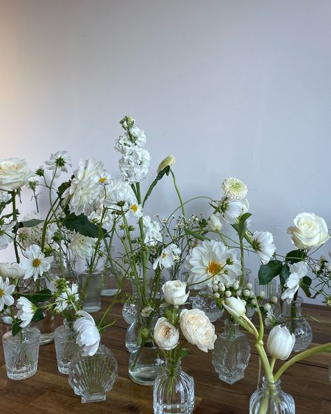 save this for inspo if you love romantic english garden vibes ~ white & green edition 🍃🍵🫧🤍🌱🧺🥑🕊️🥝🦢👒 Flowers For Green Wedding, Green And White Garden Wedding, Wedding Inspo Minimalist, English Garden Wedding Decor, Purple Green And White Wedding, Wedding Florals Simple, Green And White Flowers Wedding, All White Wedding Florals, Simple White Flower Centerpieces