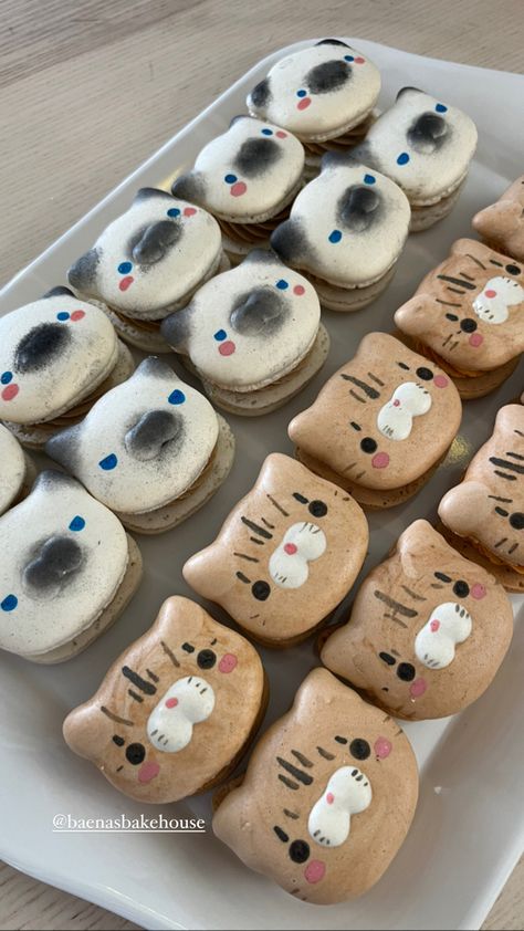 White cat with black ear and snout features and blue eyes macaron. Brown cat with stripe features macaron. Cat Themed Pastries, Black Cat Macarons, Cat Themed Baked Goods, Cat Themed Treats, Cat Inspired Food, Cat Theme Food, Cat Themed Desserts, Cat Pastries, Cat Themed Food