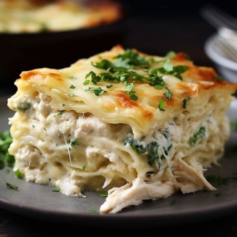 Chicken Alfredo Lasagna, Alfredo Lasagna, Chicken Lasagna, Pasta Dinner Recipes, Dinner Party Recipes, Chicken Alfredo, Party Recipes, Easy Casserole Recipes, Chicken Recipes Casserole