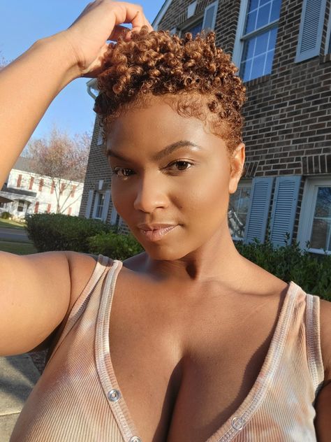 Big Chop Natural Hair Color, Short Natural Colored Hair, Short Natural Hair With Color, Short Colored Natural Hair, Short Natural Hair Color, Short Brown Natural Hair, Honey Blonde Hair On Black Women Natural Short, Golden Brown Natural Hair, Brown Twa Natural Hair