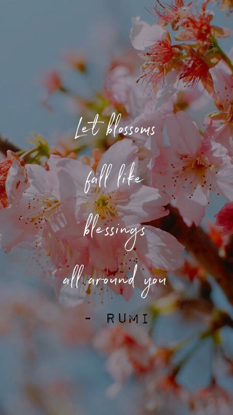 Love Blossoms Quotes, Quotes On Blooming Flower, Spring Blossom Quotes, Flower Blossom Quotes, Cherry Blossom Quotes Inspiration, Bloom Quotes Flower, Rumi Quotes Wallpaper, Blossoming Quotes, Blossom Quotes Inspiration