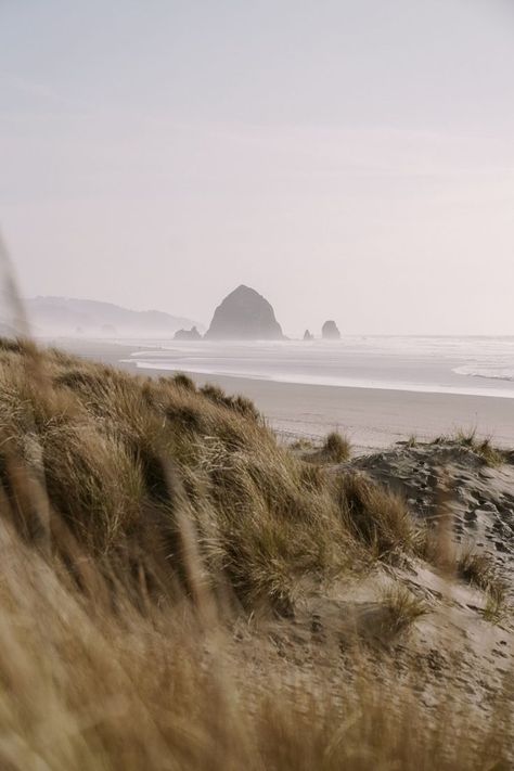 30+ photos to inspire you to visit Oregon's incredible central coast. From Tillamook to Cannon beach, there are incredible places to see. Pnw Beach Aesthetic, Cannon Beach Aesthetic, Oregon Coast Roadtrip, Oregon Aesthetic, Tillamook Oregon, Oregon Nature, Sea And Beach, Oregon Beach, Visit Oregon