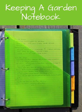 Simple notebook idea to keep track of garden planning, project ideas, expenses, and so much more. Check it out! Garden Homestead, Notebook Idea, Yellow Crocus, Garden Notebook, Watermelon Plant, Writing Websites, Homestead House, Simple Notebook, Succession Planting