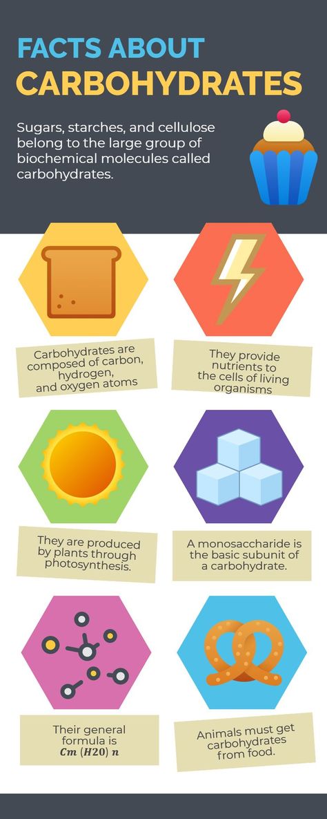 Chemistry topics Carbohydrates Chemistry, Chemistry Facts, Food Chemistry, Photosynthesis, The Cell, Biology, Chemistry, Fun Facts, Science