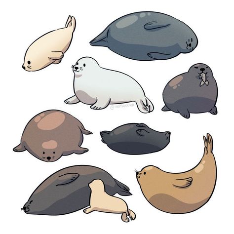 Sea Lion Art, Sea Creatures Art, Lion Drawing, Cute Seals, A Seal, Puppies And Kitties, Silly Animals, Sea Lion, Cute Chibi