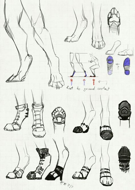 Legs Drawing, Drawing Eyes, Creature Concept Art, Hyena, Anatomy Art, Art Tutorials Drawing, Drawing Base, Drawing Poses, Drawing Reference Poses