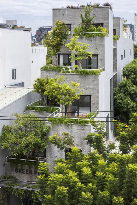 Gallery of Green Peace Village / Ho Khue Architects - 17 Terrace Building, Green Peace, Jungle Life, Green Facade, Easy Decor, Apartment Terrace, Green Architecture, Architecture Office, Apartment Garden