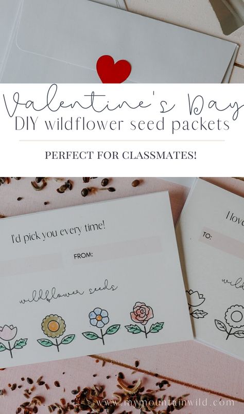 Non-candy Valentine's Day DIY Wildflower Seed Packets for your child's classmates! Two free Valentines Day printables for little envelopes to hold seeds. Easy & affordable Valentine's Day crafts for kids Seed Valentines Day Card, Seed Valentines Kids, Flower Seed Valentines, Seed Packet Valentine, Flower Valentines Card, Seed Valentines, Wildflower Seed Packets, Valentines Day Printables, Valentine Basket