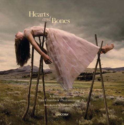 Tom Chambers: Hearts and Bones Hearts And Bones, Poesia Visual, Mode Editorials, Psy Art, Andrew Wyeth, Contemporary Photography, Grey's Anatomy, Photography Portfolio, Prom Gown