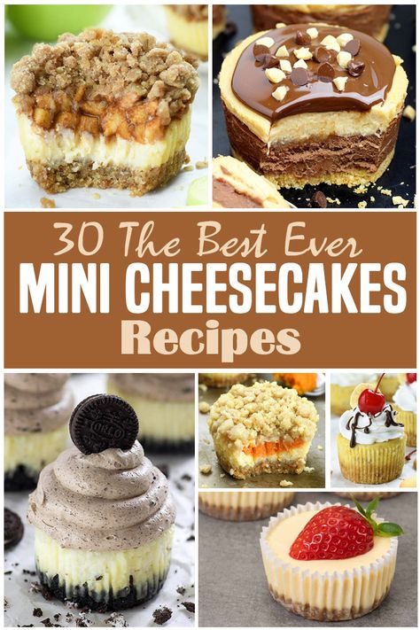 Top 30 Mini Cheesecake Recipes Ever Mini Cheesecakes With Fruit, Fall Mini Cheesecake Recipes, Easter Cheesecake Desserts, Mini Christmas Cheesecake Recipes, Miniature Cheesecakes Recipes, Mini Cake Desserts, Cheesecake Bites Recipes Easy, Small Cheese Cakes, Small Cheesecake Recipes