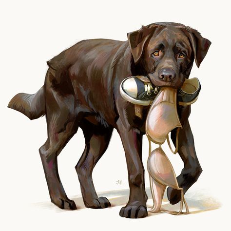 Color Art Lessons, Dog Design Art, The Art Showcase, Canine Drawing, Perspective Drawing Architecture, Art Showcase, Old Dog, Psy Art, Animal Study