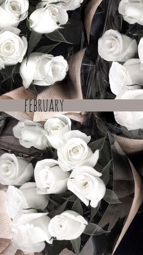 February Wallpaper Iphone, February Wallpapers, Aesthetic February, January Wallpaper, February Wallpaper, Valentines Wallpaper Iphone, Sky Pretty, Calendar Background, February Calendar