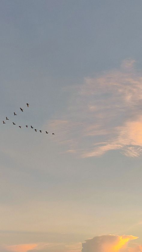 Background Asthetic Picture, Clouds Asthetic Picture, Peaceful Wallpaper, Doodle Pictures, Birds In The Sky, Galaxy Pictures, Blue Aesthetic Pastel, Ocean Sky, Snapchat Picture