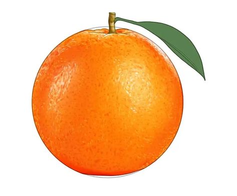 Orange Drawing Simple, Orange Sketch Drawing, Simple Orange Drawing, Orange Outline Drawing, Drawing Of Orange Fruit, Sliced Orange Drawing, Paint Orange Fruit, Simple Drawing Tutorial, Fruit Sketch