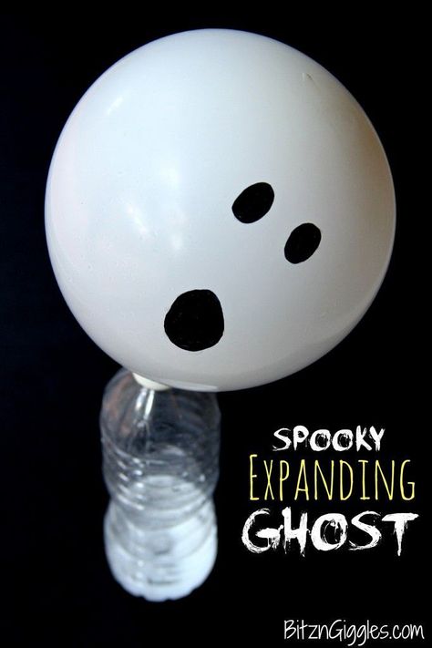 Teach your kids a thing or two about carbon dioxide with this fun science experiment using ingredients you already have in your house! Science Halloween, Vetenskapliga Experiment, Spooky Science, Childcare Ideas, Dekorasi Halloween, Halloween Science, Teaching Holidays, Kid Experiments, Halloween Preschool