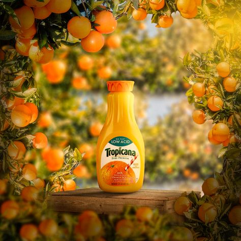 Tropicana campin • Ads of the World™ | Part of The Clio Network Juice Ad, Ad Photography, Juice Bottle, Ad Of The World, Creative Advertising Design, Coffee Wallpaper, Photoshop Tutorial Design, Ads Of The World, Food Graphic Design