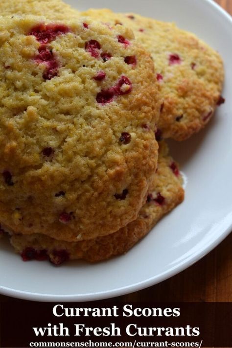 Currant Scones, Currant Recipes, Berry Scones, Drop Scones, Drop Biscuits, Sweet Treats Recipes, Treat Recipes, Pastry Blender, Scone Recipe