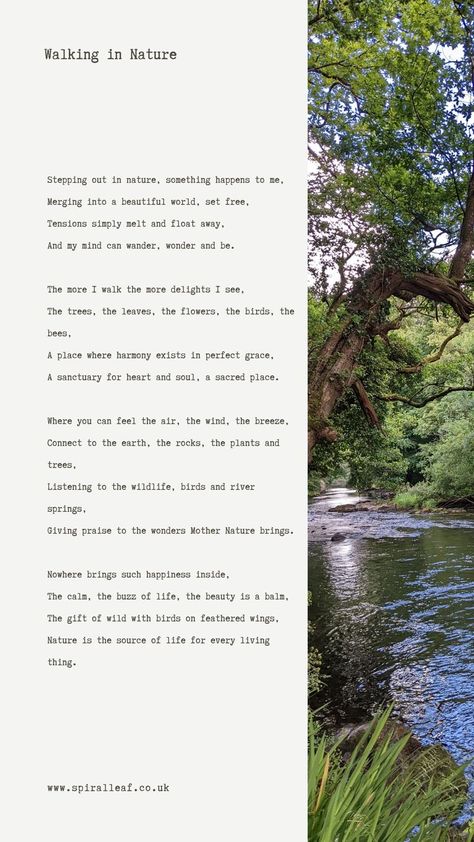 A poem about walking in Nature and feeling the benefits of being outside in the natural world as a tonic for the heart, mind and soul. Nature, Poem About Nature And Love, Nature Poetry Quotes, Poems About Nature Earth, Poems On Nature Poetry, Nature Poetry Aesthetic, Poem About Environment, Poem On Nature In English, Nature Poems Poetry