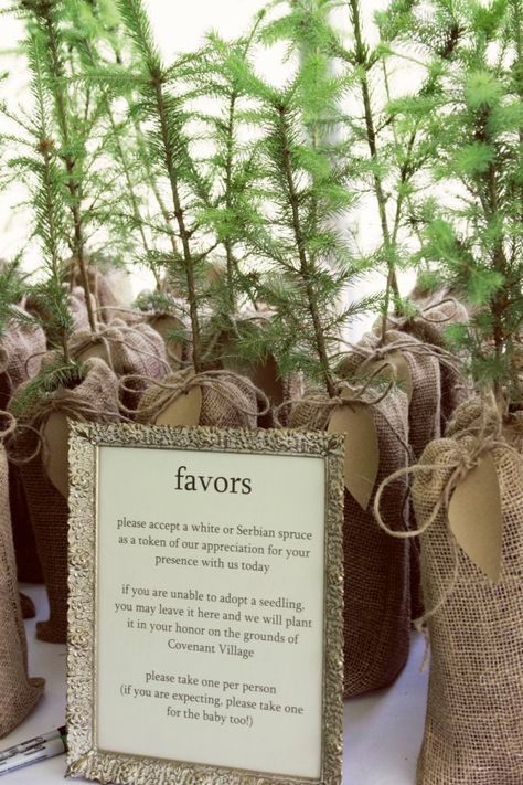 tree seedlings in burlap bags as wedding favors (Whole Heart Photography) Tree Wedding Favors, Plant Wedding Favors, Succulent Wedding Centerpieces, Tree Seedlings, Woodsy Wedding, Diy Party Favors, Diy Bride, Burlap Bags, Eco Wedding