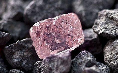 A 12.76 carat pink diamond, the largest of the rare and precious stones ever found in Australia, has been named the Argyle Pink Jubilee Argyle Pink Diamonds, Glitter Rosa, Pink Diamonds, Pretty Rocks, Pink Gem, Mineral Stone, Minerals And Gemstones, Rocks And Gems, Rough Diamond