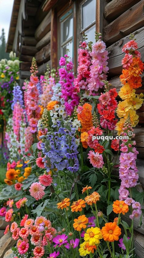 Fairytale English Cottage Garden: Enchanting Oasis English Backyard Garden, Cottage Garden Diy, Romantic Cottage Garden, Garden Design English, Cottage Style Front Garden, Container Cottage Garden, Cottage Core Garden Ideas, English Cottages And Gardens, Cottage Container Garden