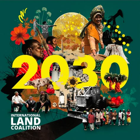 The International Land Coalition - 2030 Strategy — ELEANOR SHAKESPEARE Eleanor Shakespeare, Art Society, South London, Green Books, Ad Design, Graphic Design Posters, A Relationship, A Job, 25 Years