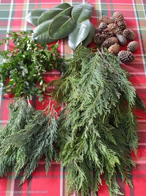 Find steps to create a fresh and natural runner centerpiece using foraged evergreens. A no-cost way to add the smell of Christmas to your table or home for the holidays. Using evergreens to the deck the halls or the table is one of my favorite ways to add a bit of ‘freshness’ and nature at the holidays!Freshly-cut evergreens are the smell of Christmas and makes the house so fragrant, especially if you’re using an artificial tree. While you can always use a ready-made garland on your… Christmas Table Centerpieces Elegant, Centerpiece For Christmas, Table Runner Centerpiece, Smell Of Christmas, Centerpiece Diy, Diy Christmas Table, Evergreen Christmas, Centerpieces Ideas, Red Christmas Ornaments