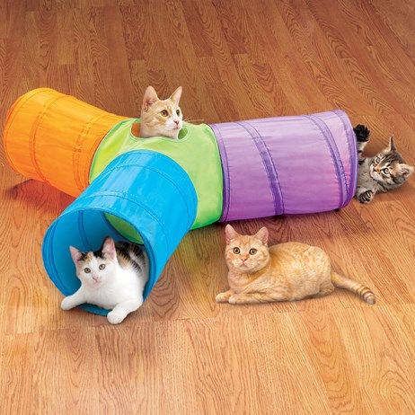 Under Christmas Tree, Homemade Cat Toys, Diy Cat Toys, Cat Essentials, Cat Info, Pet Sofa, Cat Tunnel, Interactive Cat Toys, Kitty Games