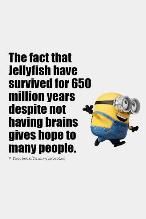 Humour, Minions, Funny Quotes For School, Funny Quotes Minions Humor, Hysterically Funny Quotes Humor, Funny Quotes For Friends Jokes, Funny Clean Memes Hilarious, Minion Jokes Hilarious So True, Minion Quotes Hilarious