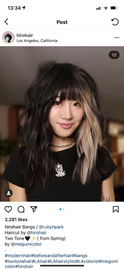 Peekaboo Color Block Hair, Brunette Color Blocking, Wolf Cut Peekaboo Hair, Block Color Hair Placement, Edgy Hair Colors For Brunettes, Peekaboo Bangs, Block Dyed Hair, Blonde Underneath, Dark Ombre Hair