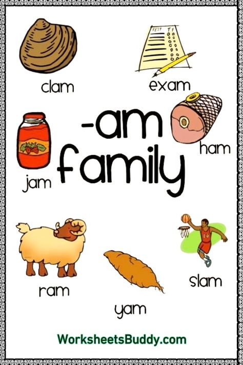 Build Literacy Skills with AM Word Family Worksheets Am Family Words, Am Word Family, Am Words, Special Ed Classroom, Ed Classroom, Words For Kindergarten, Family Words, Prek Literacy, Family Worksheets