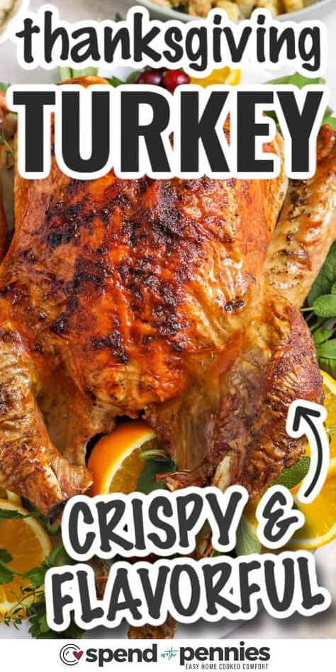 Thanksgiving Turkey How To Bake A Whole Turkey In The Oven, Juicy Turkey With Crispy Skin, Cooking Thanksgiving Turkey The Day Before, Turkey Recipes With Apples, The Perfect Turkey Recipe, Beer Turkey Thanksgiving, Oven Cooked Turkey Recipes, Roast Thanksgiving Turkey, Season A Turkey Thanksgiving