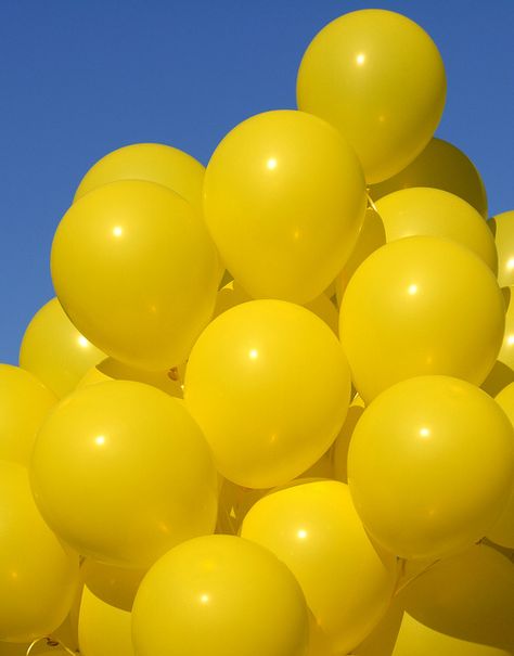 Carry yellow balloons around with me all day, giving them away!!! Yellow Aesthetics, Yellow Photography, Yellow Aesthetic Pastel, Yellow Balloons, Yellow Theme, Nyc Park, Jaune Orange, Yellow Submarine, Yellow Wallpaper