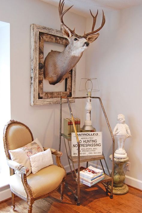 mounted deer head in a frame Deer Heads Living Room, Deer Mount Decor, Deer Head Decor, Wildlife Design, Dead Animals, Taxidermy Decor, Deer Heads, Hunting Themes, Woodland Cottage