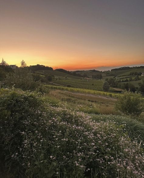 SUNBURNT Italy Countryside Aesthetic, Italy Countryside, View Aesthetic, Avatar Images, Italy Aesthetic, The Velvet, Florence Italy, Luxury Life, Aesthetic Photography