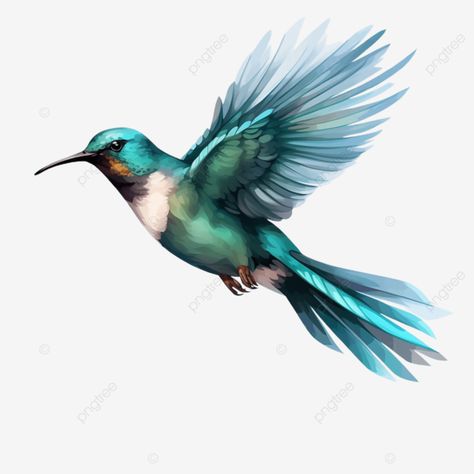 flying teal bird flying teal bird animel transparent png Teal Bird, Bird Flying, Transparent Image, Birds Flying, Png Transparent, Transparent Png, Free Png, Png Image, Design Elements