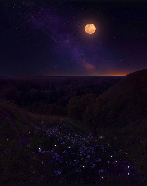 Moonlit Field